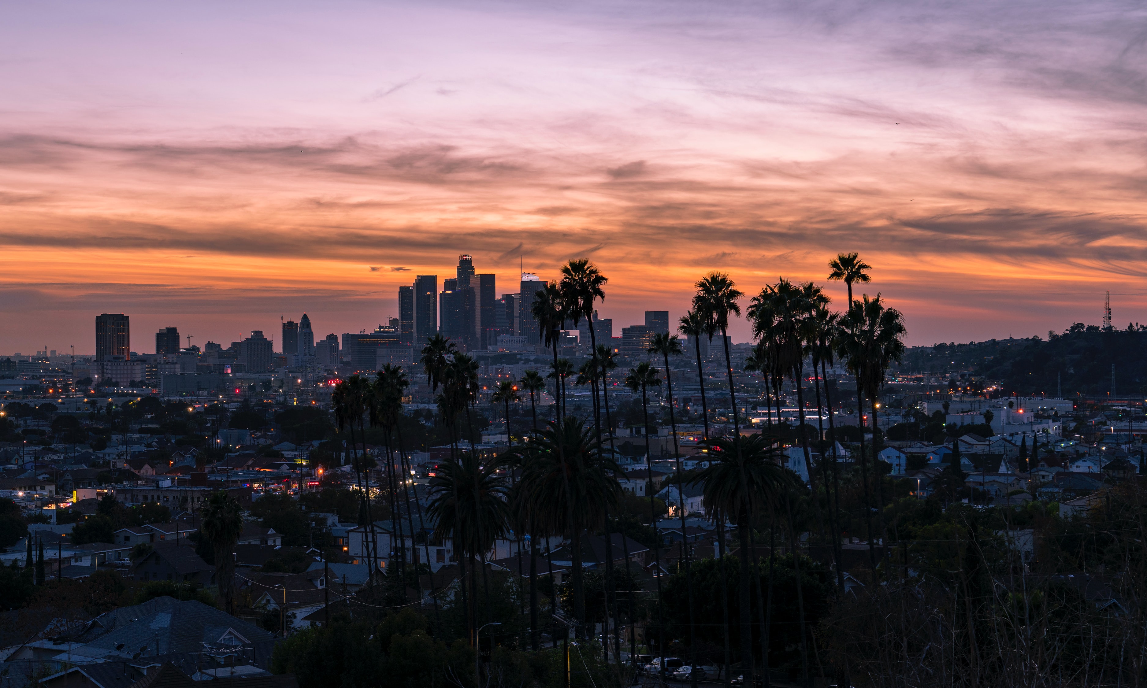 LA skyline at sunset, palm trees in foreground